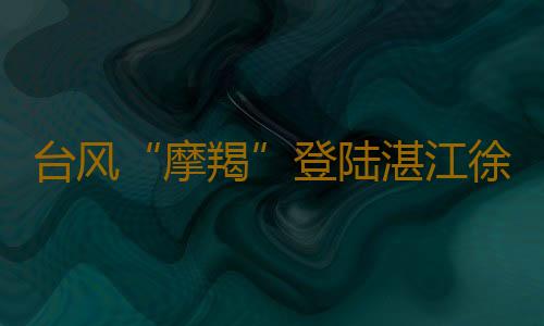台风“摩羯”登陆湛江徐闻,广东电网公司全力勘灾复电